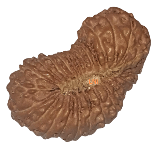 27m25.20b2-550x550-1.png