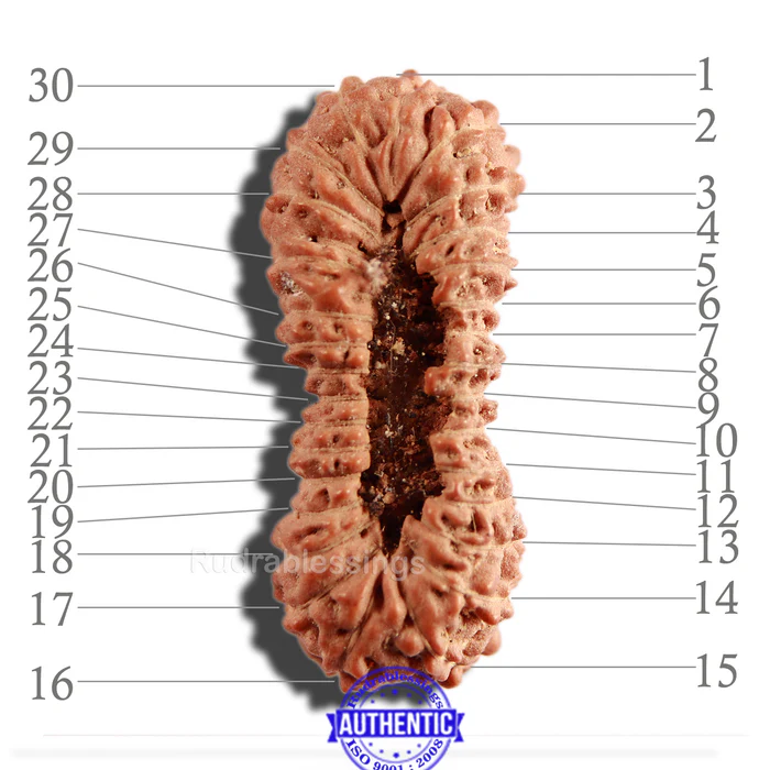 30m-mukhi_700x.webp