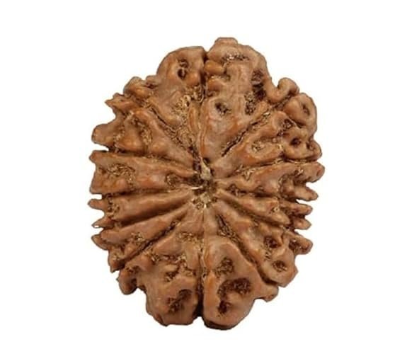 417rNuiQItL._SX575_.jpg