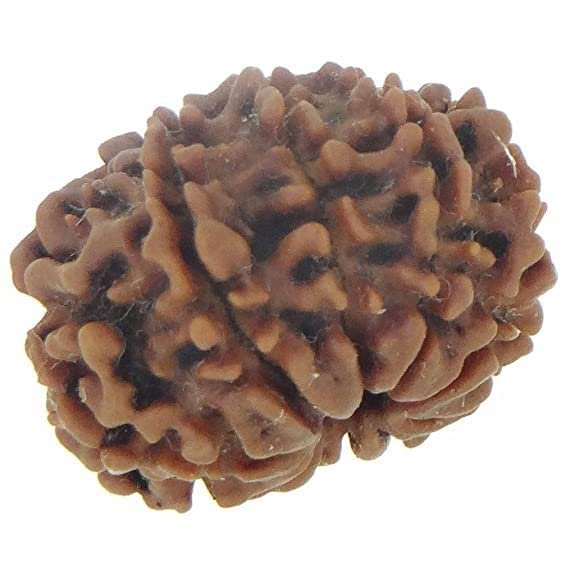 41aZUmB1sEL-1.jpg