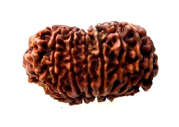 51C08LexKsL._SX575_.jpg