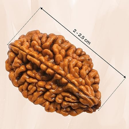 91fQ8Sl0-EL._SY450_.jpg