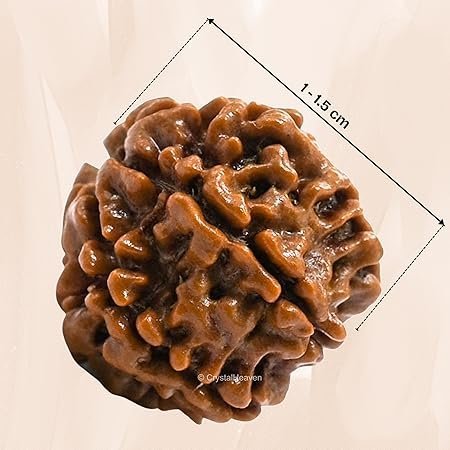 91t-phLW0cL._SY450_.jpg