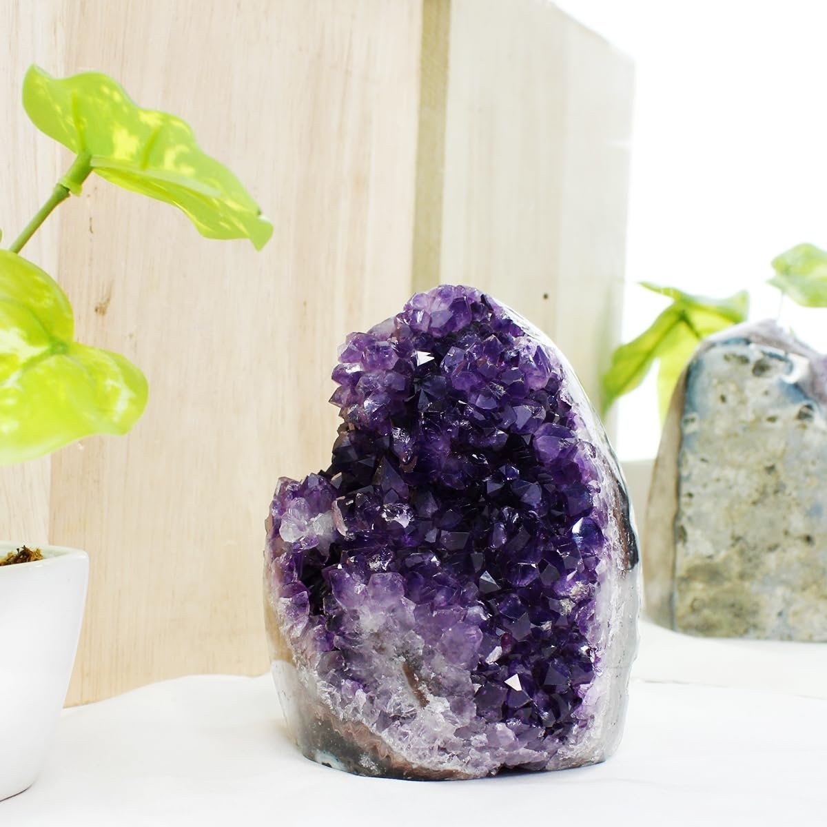 Amethyst-Cluster-2-1700-1800-Gm.jpg