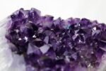 Amethyst-Cluster-500-600-Gm.jpg